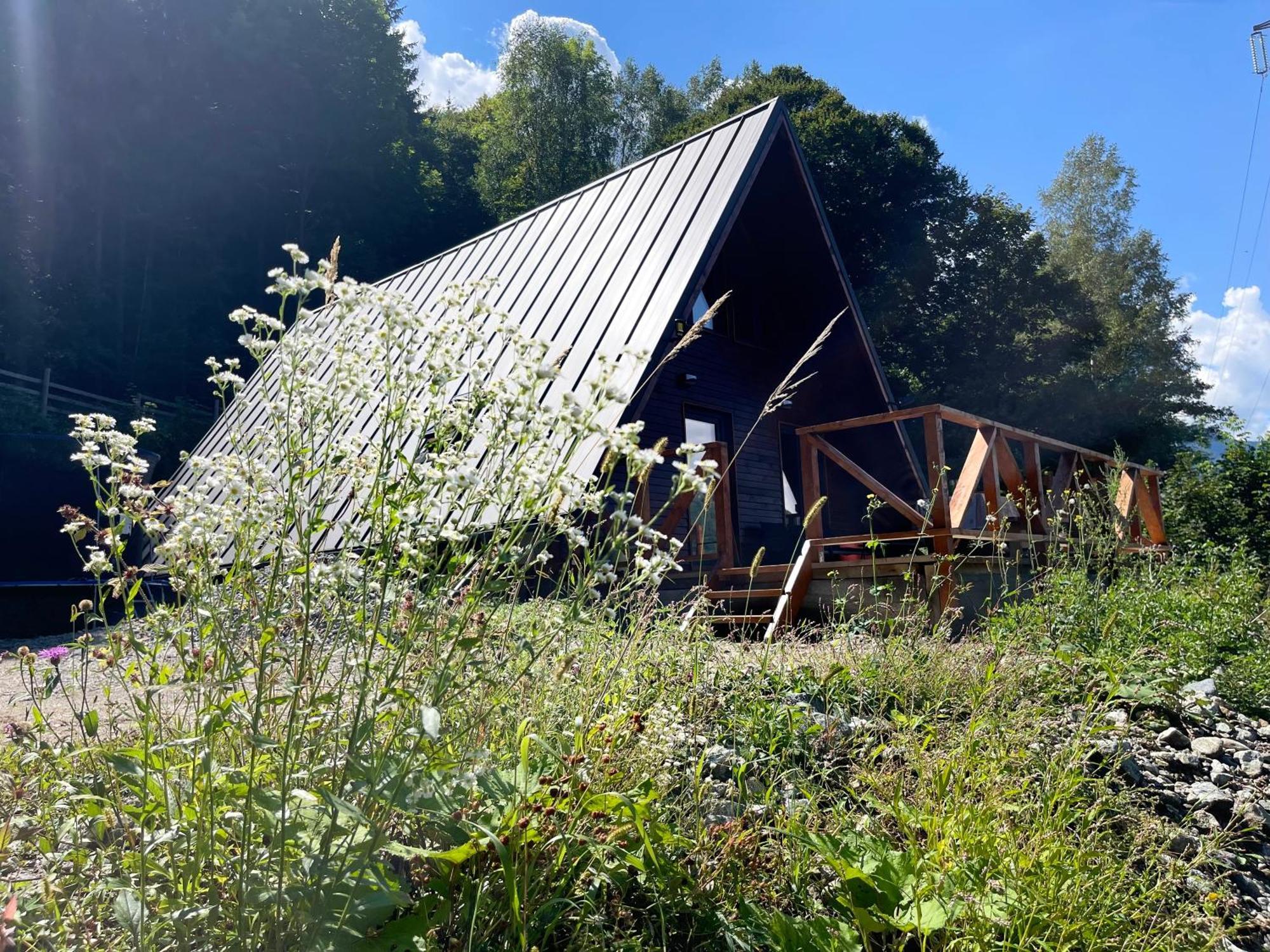 Wild Cabin Малая Экстерьер фото