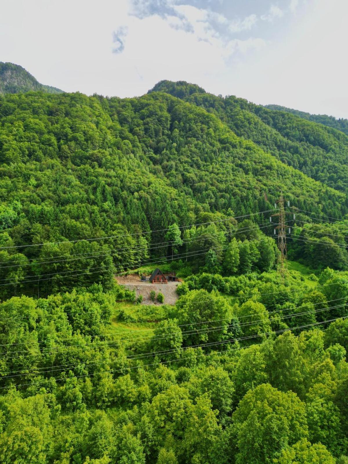 Wild Cabin Малая Экстерьер фото