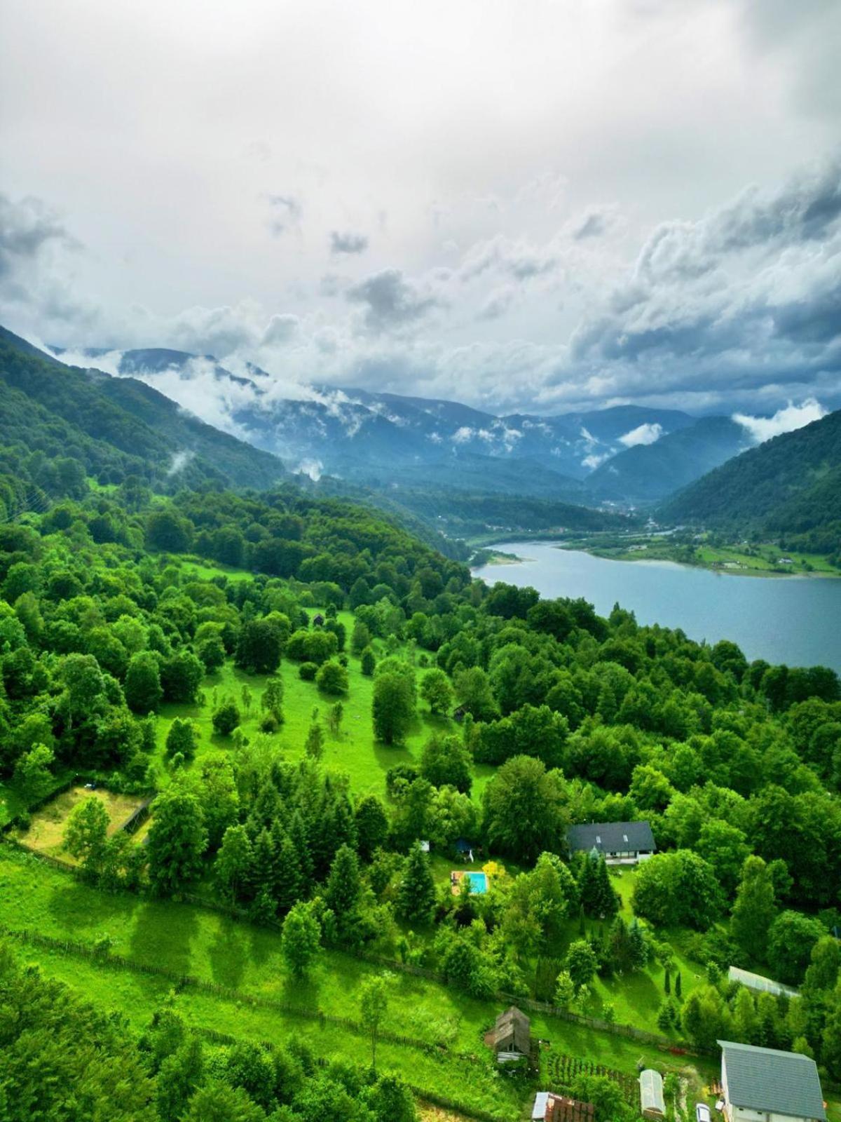 Wild Cabin Малая Экстерьер фото